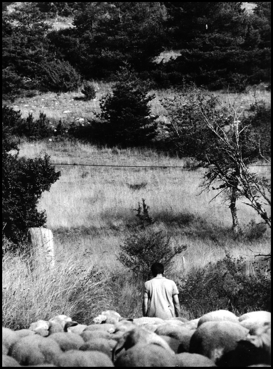 Christophe emmène le troupeau en pâturage, Sirgas 1992