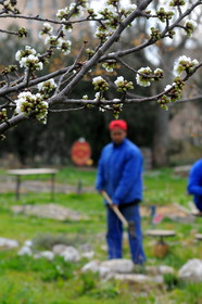 Le jardin éco site aide les détenus mineurs à se réinsérer, quartier du Burel, Marseille 2008