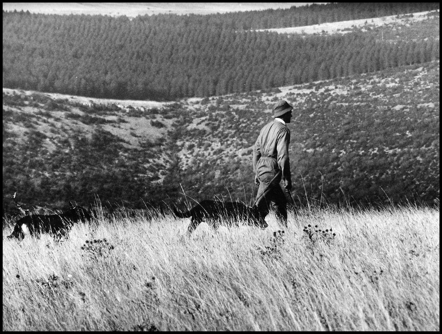 Christophe retourne sur les plateaux récupérer le troupeau