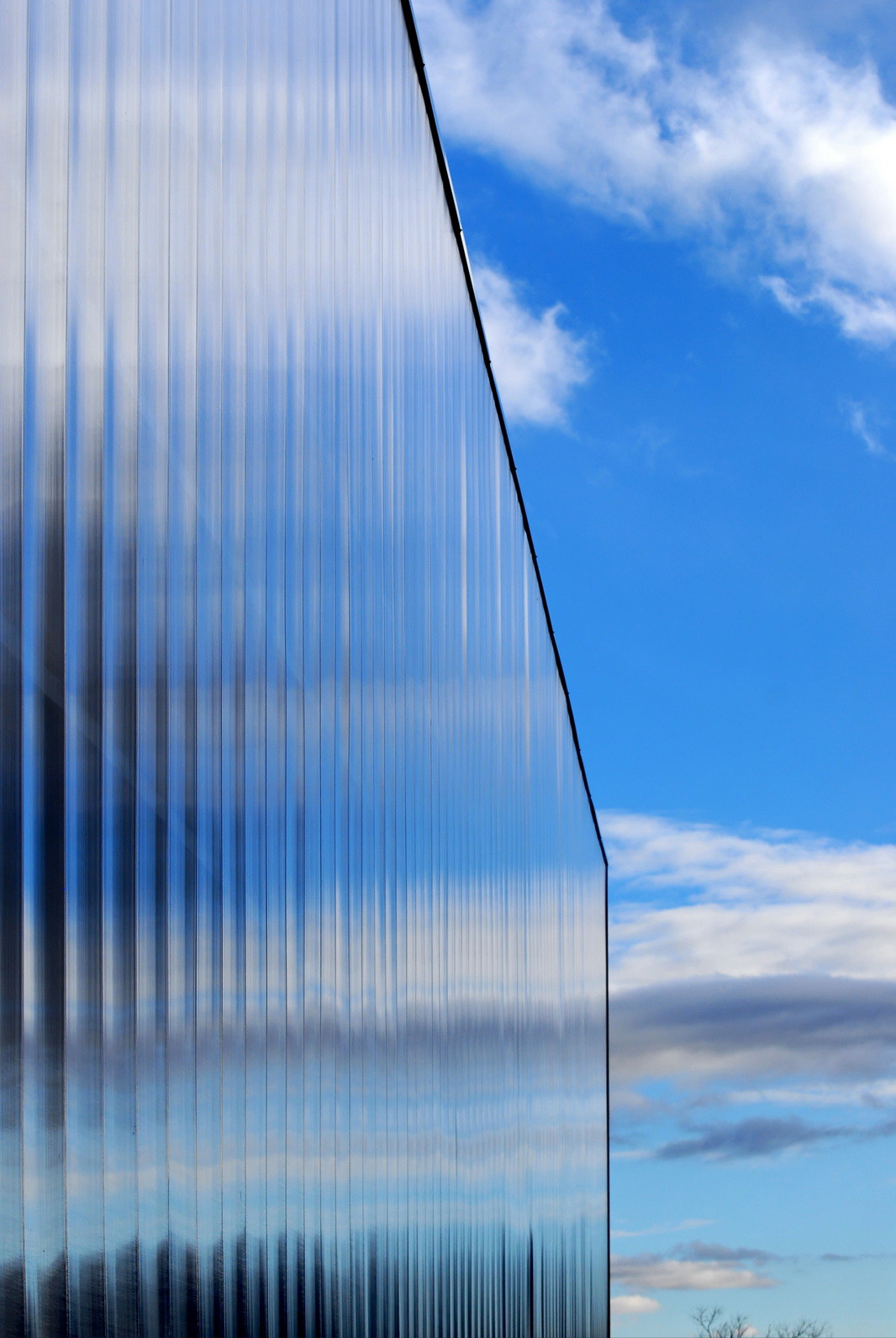 Gymnase du collège Joseph d'Arbaud, Vaison la Romaine janvier 2009.
