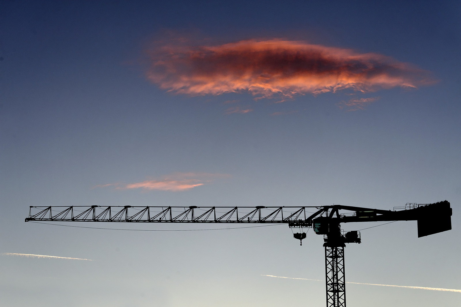 Les Terrasses du Port_24 janvier 2012_0099.jpg