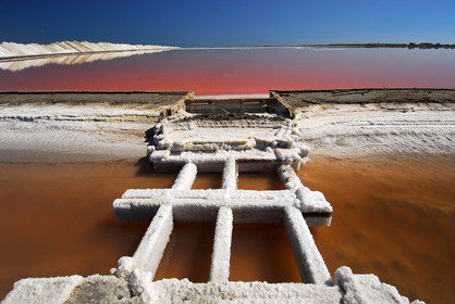 La Camargue, près des Salins de Giraud aout 2006.