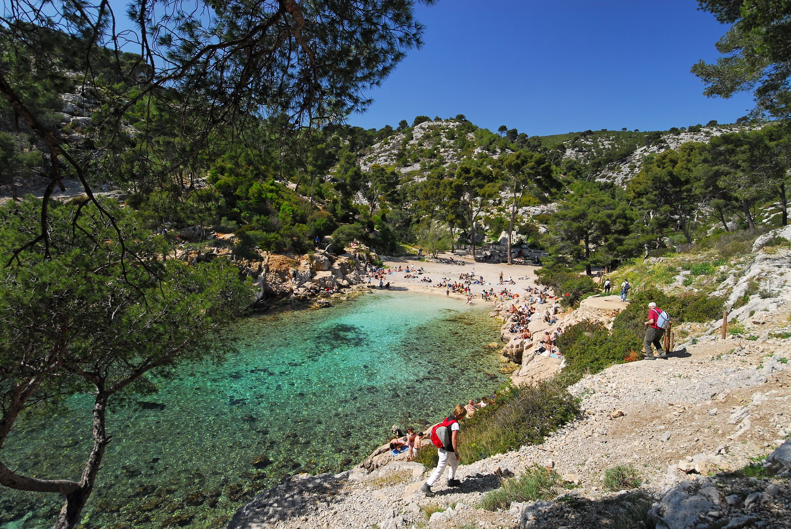 Les calanques, Port Pin 2009 pour la région PACA
